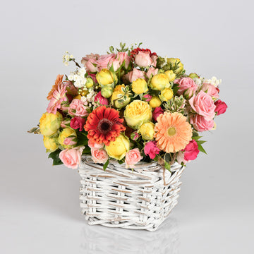 Vivid Basket