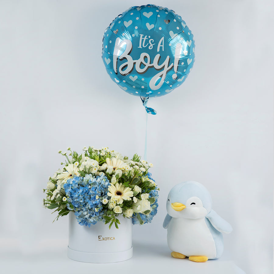 It's a Boy!